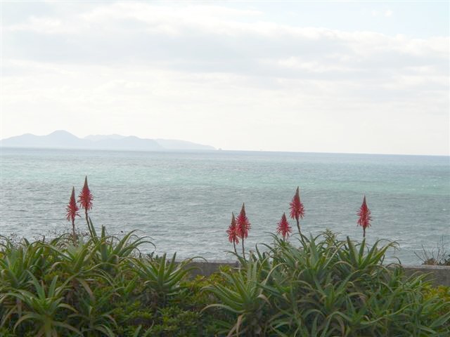 P1010860.JPG 640�~480 54K